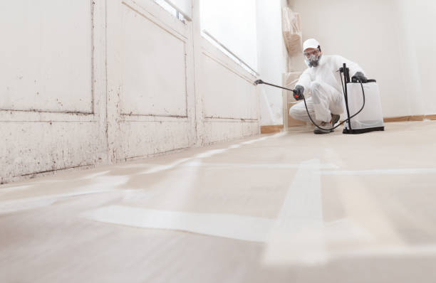 24/7 Emergency Mold Inspection experts in Eagle, MI