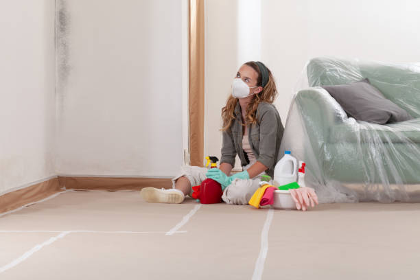 Reliable Mold Cleanup contractor in Eagle, MI by Cheap Mold Removal